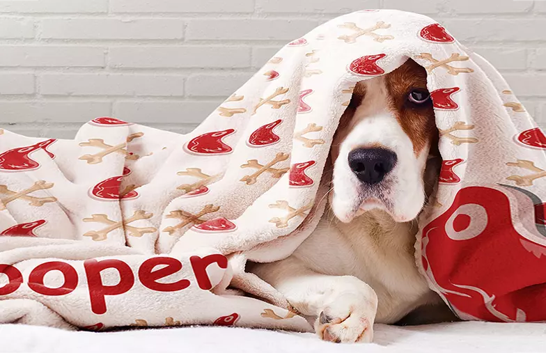 Personalised fleece blanket on sofa