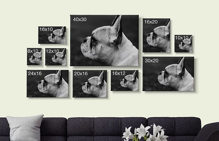 Range of sizes of Printerpix photo canvas prints on wall