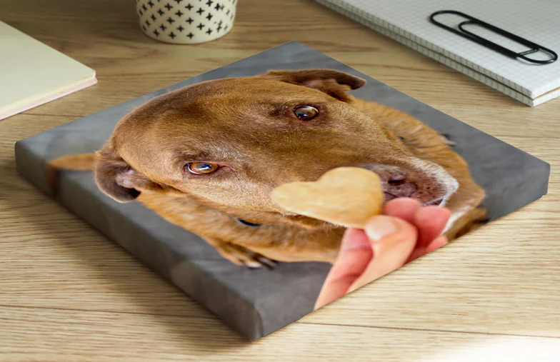 Pet Photo Canvas Prints
