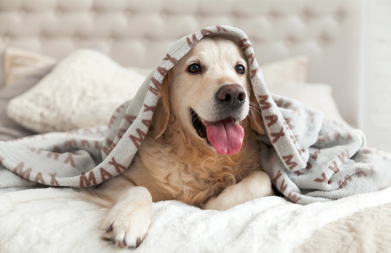 Large photo blanket on double bed with picture of girl photo