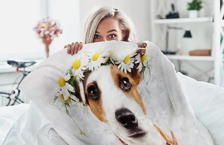 Pink and white Printerpix mink touch photo fleece blanket with picture of dog