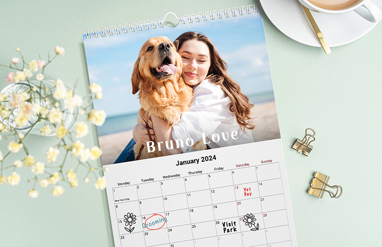 Romantic couple in living room with personalised 2020 wall calendar with proposal photo