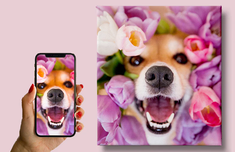 Pet Photo Canvas Prints