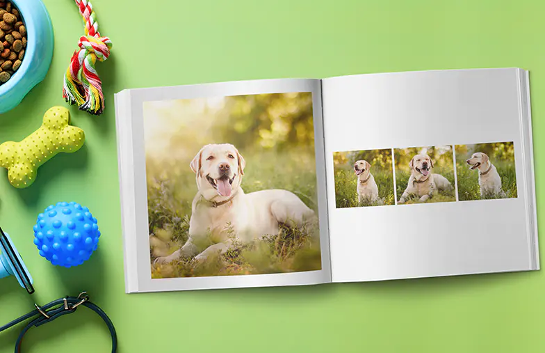 Modern Moments In White Photo Book